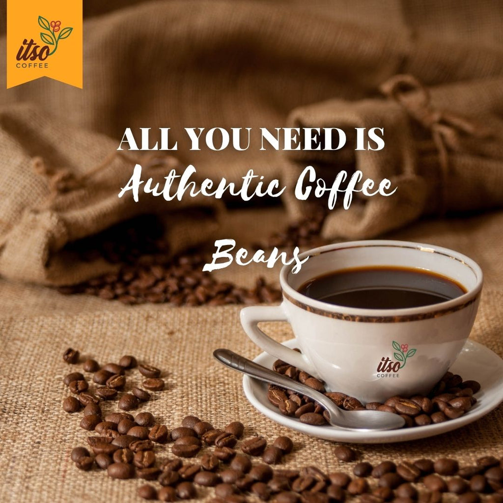 The Story Behind Kenyan Coffee: From Highlands to Your Mug