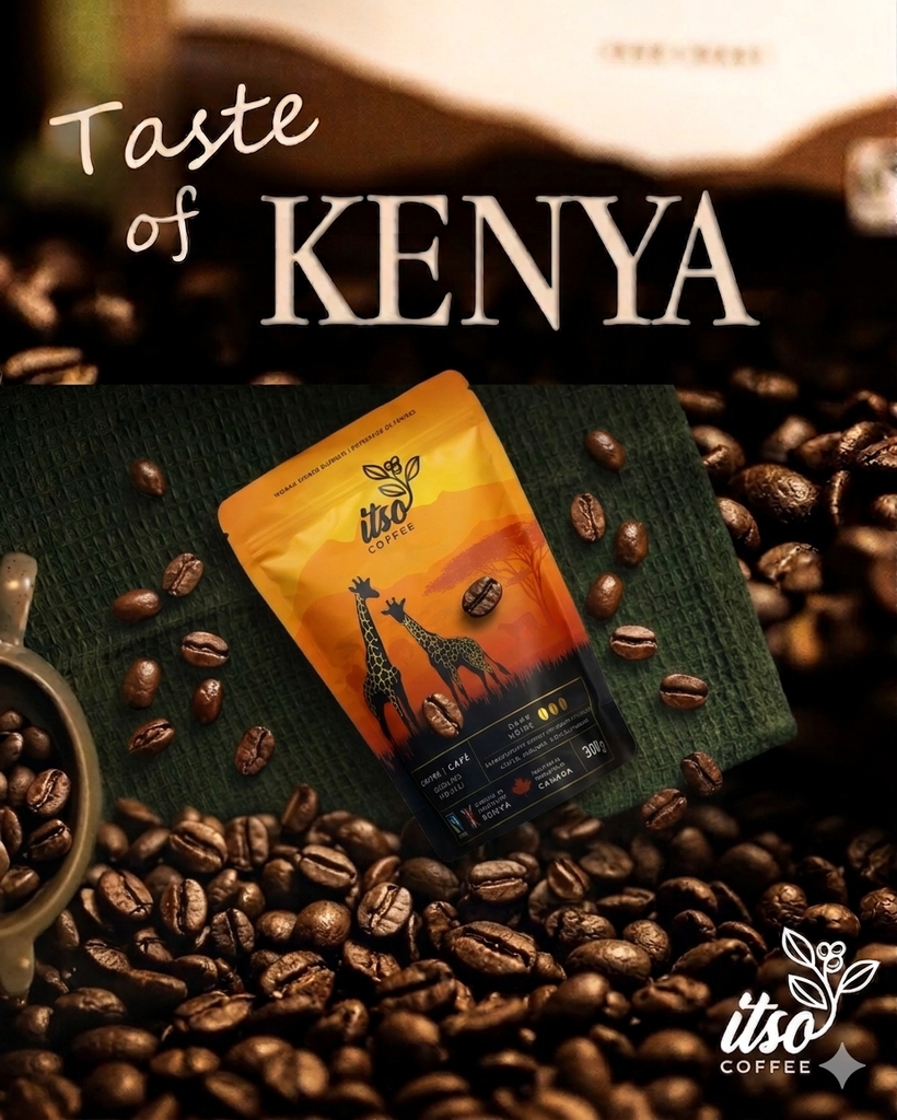 Best Kenyan Coffee to Buy in Canada (2026 Guide)