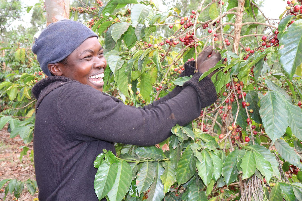 Brewing Community: Why Supporting Local Roasters Matters