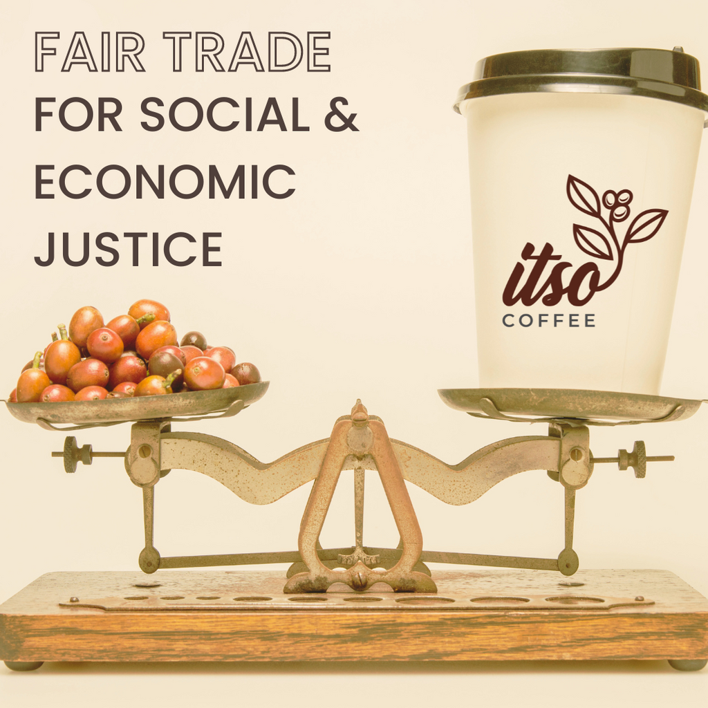 Brewing Equality: The Commitment to Fair Trade Practices in the Coffee Industry