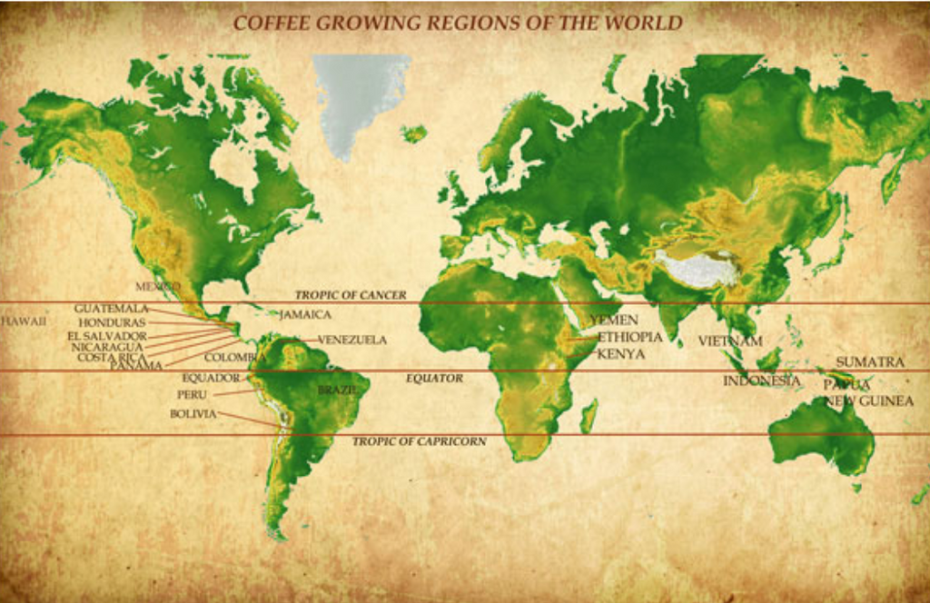 Coffee Bean Origins and Flavor Profiles: A Journey Through the World's Coffee-Growing Regions