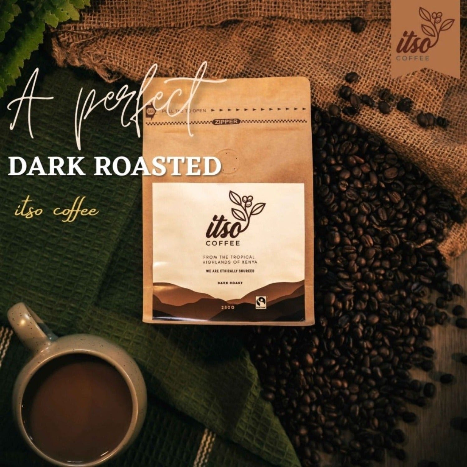 Premium Kenyan Dark Roast Coffee Beans - 250 G