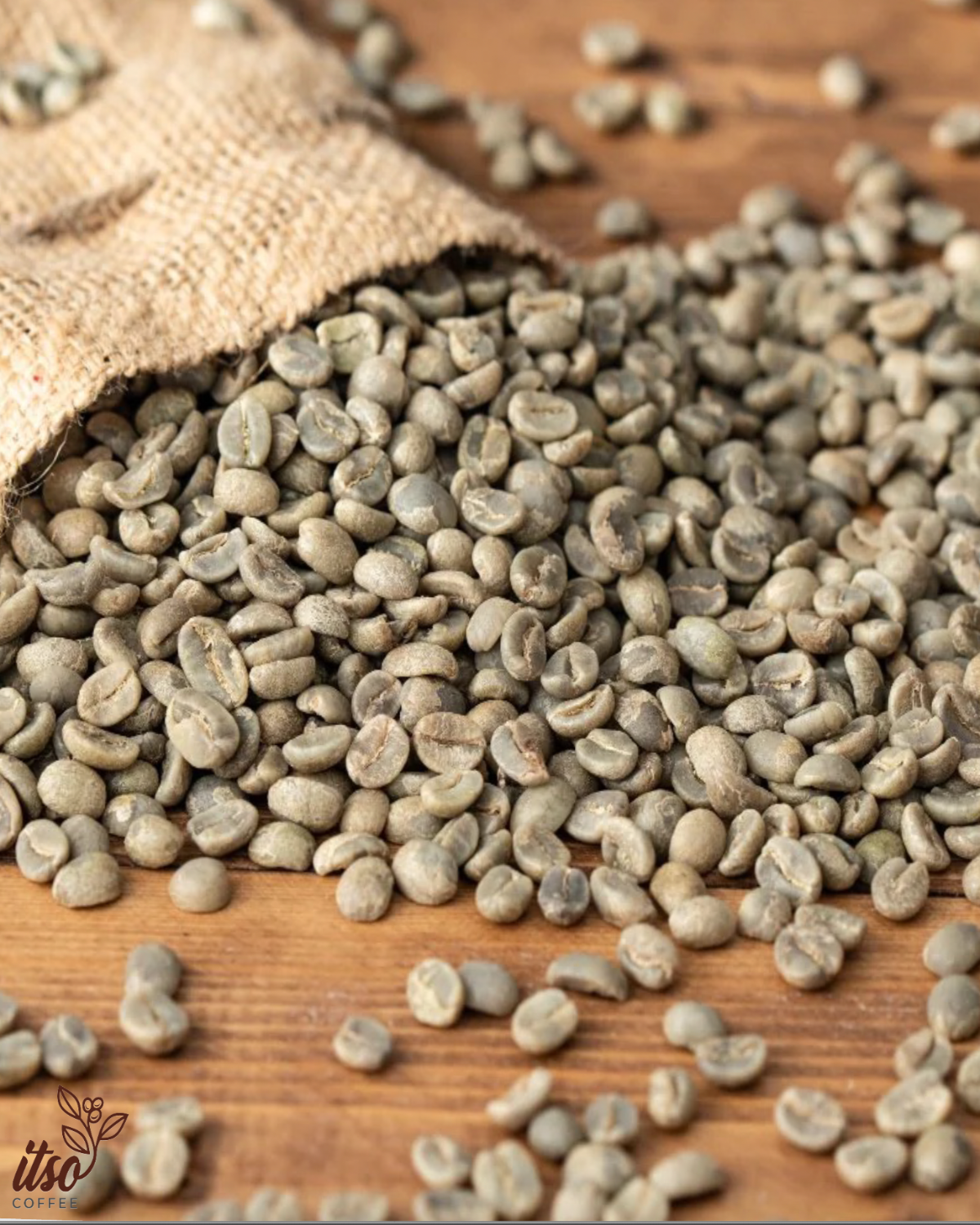 Wholesale Green Kenyan Coffee Beans