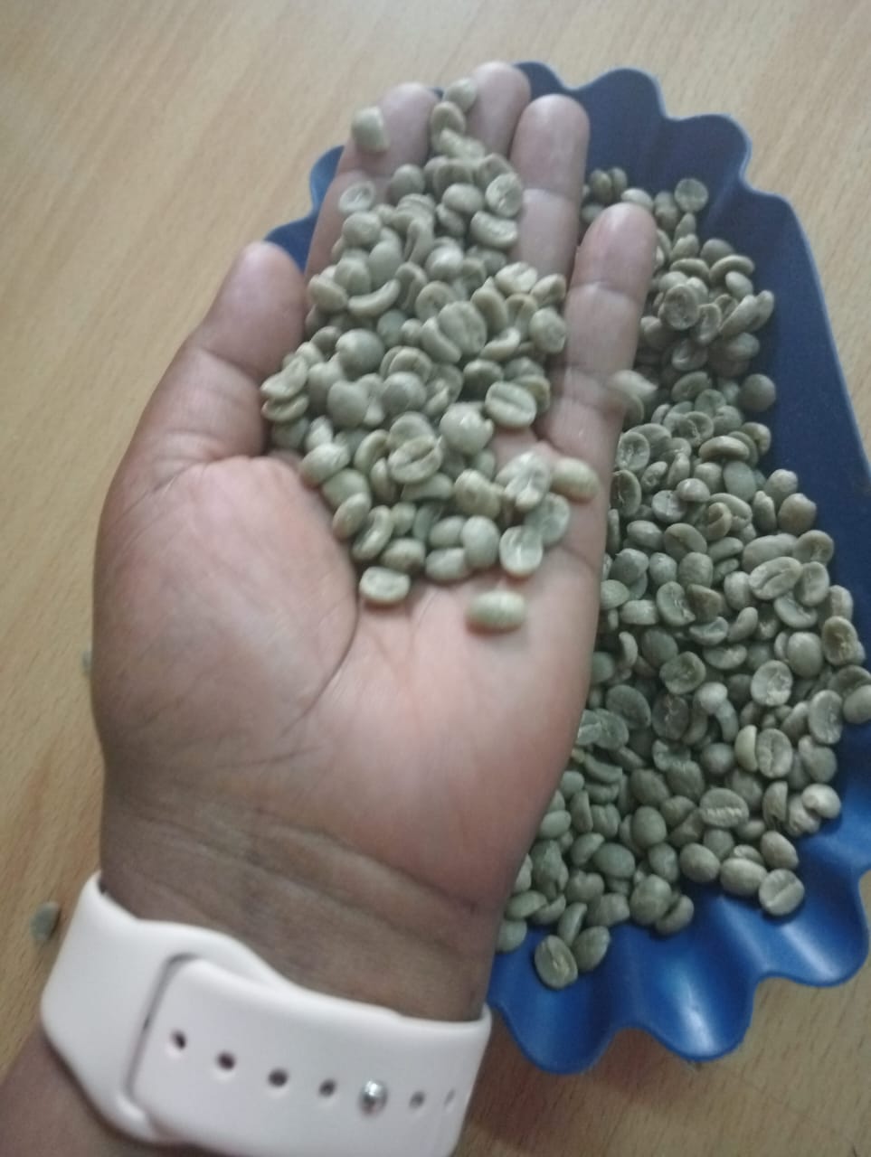 Wholesale Green Kenyan Coffee Beans